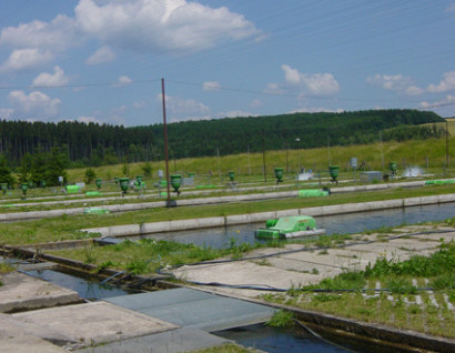 Fischzuchtanlage Trostadt (Foto: TMIL)