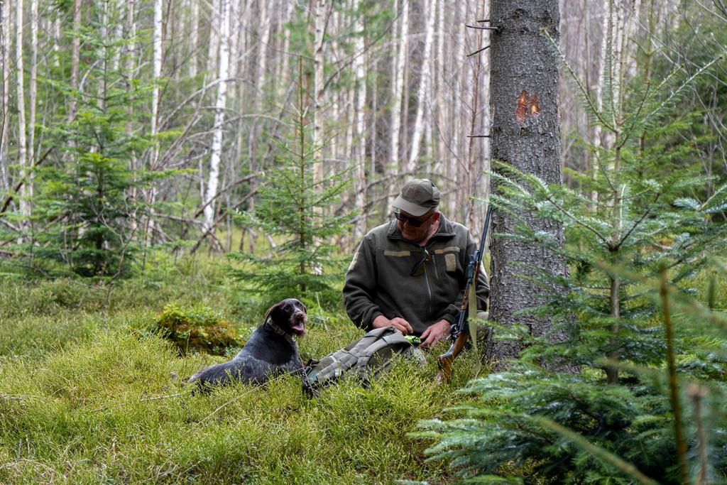 Jäger mit Jagdhund im Nadelwald.