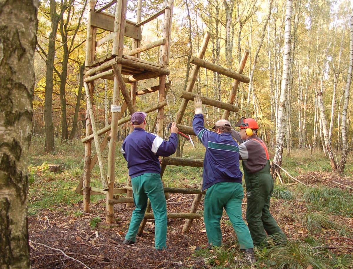 Die Leiter wird am Hochsitz angebracht (Foto: Andreas Knoll)