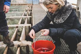 Ministerin Karawanskij begutachtet die Jungfische