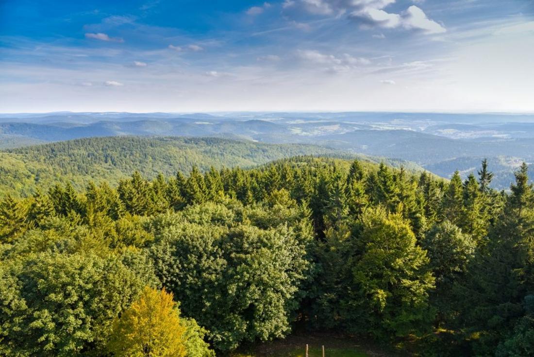 Thüringer Wald: Blick vom Adlersberg-Turm
