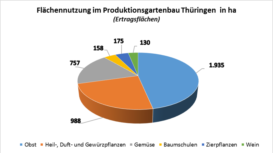 Flächennutzung im Produktionsgartenbau Thüringen in ha