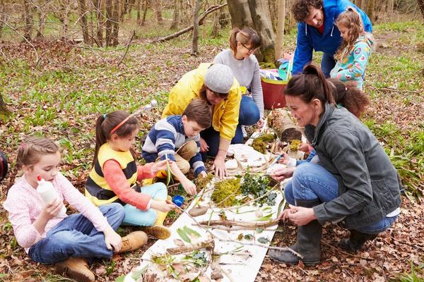Eine Gruppe von Kindern mit Betreuern sitzt auf dem Waldboden. Zwischen ihnen ist ein langes weißes Tuch ausgebreitet, auf dem verschieden Teile von Pflanzen zur Bestimmung und Betrachtung liegen.