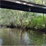Brücke über einem Fluss mit LoRAWAN-Antenne