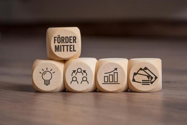 Fünf symbolische Würfel - Idee, Zusammenarbeit, steigende Werte, Geld = Fördermittel