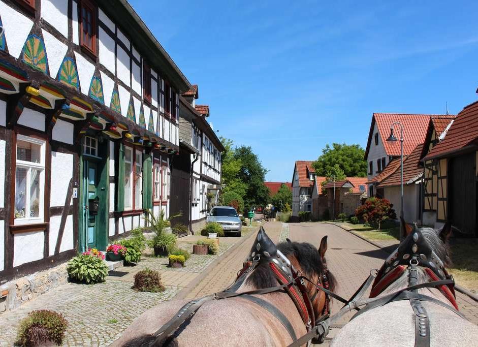 Straßenzug mit Frachwerkhäusern, Pferderücken und blauer Himmel