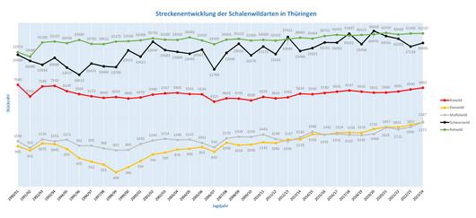 Streckenentwicklung der Schalenwildarten in Thüringen 1990–2024