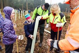 Mit Erst- bis Drittklässlern der Aktiv-Schule Erfurt, Vertreter:innen des ThüringenForst und der Waldgenossenschaft Rockhausen pflanzt Ministerin Susanna Karawanskij junge Eichen für einen klimaresistenten Wald der Zukunft